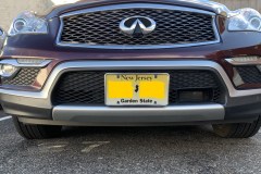 Infiniti-Qx50-mesh-grille-2017