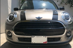 MINI-COOPER-CHILI-Mesh-grill 2020